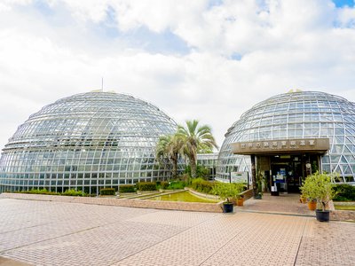 🌳 동곡산 과일 공원(토고쿠산 후르츠 파크)